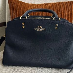 COACH Lillie Mini Carryall
